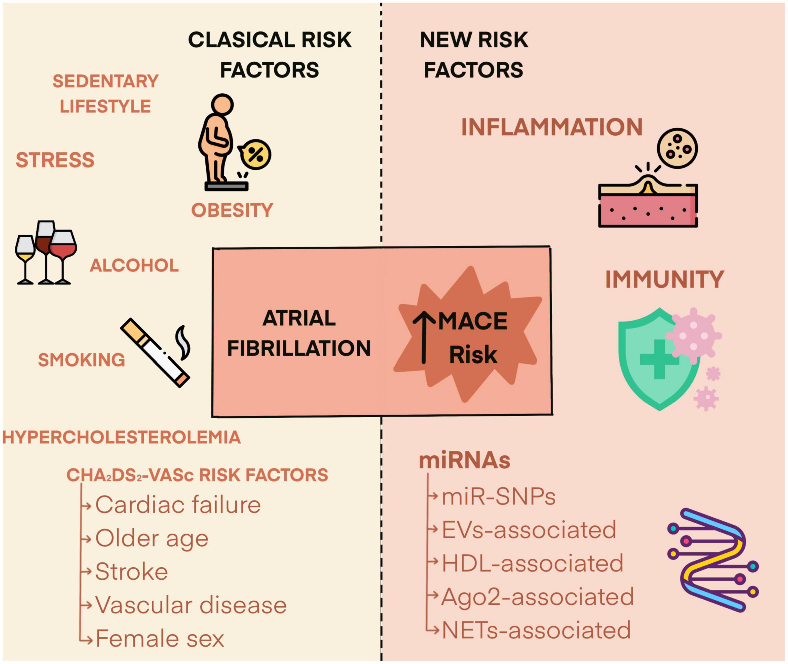 microRNAs as biomarkers of risk of major adverse cardiovascular events in atrial fibrillation